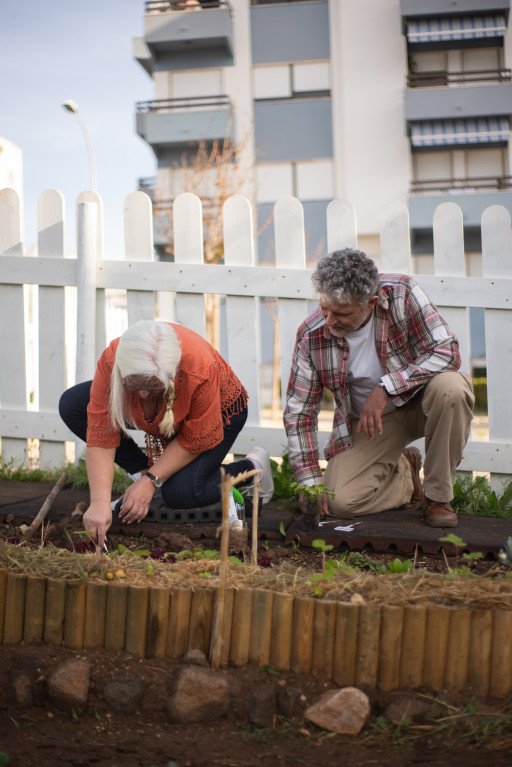 The Comprehensive Guide to Joining Gardening Clubs for Seniors