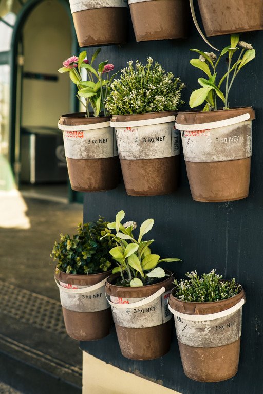 Innovative, Affordable, and High-Quality Container Gardening Ideas