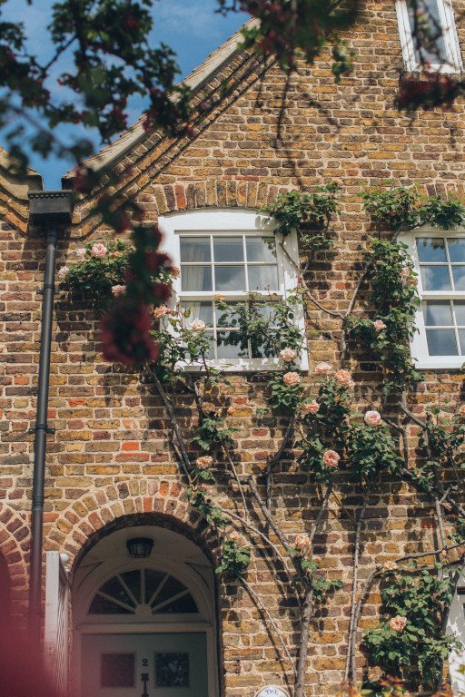 The Ultimate Guide to Choosing the Perfect Plants for the Front of Your House