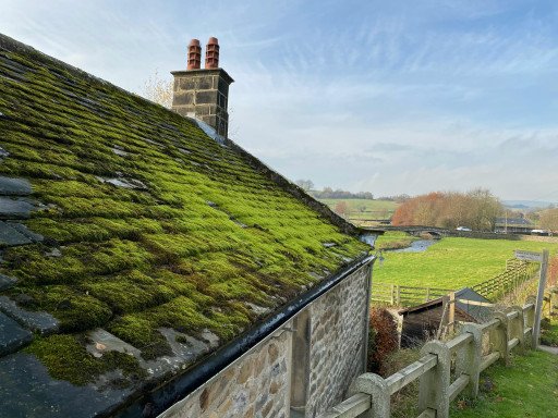 Green Roof Farming Benefits