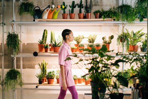 The Ultimate Guide to Best Indoor Plants for Low Maintenance