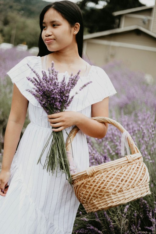 The Ultimate Guide to Cultivating Lavender Stoechas in Your Garden